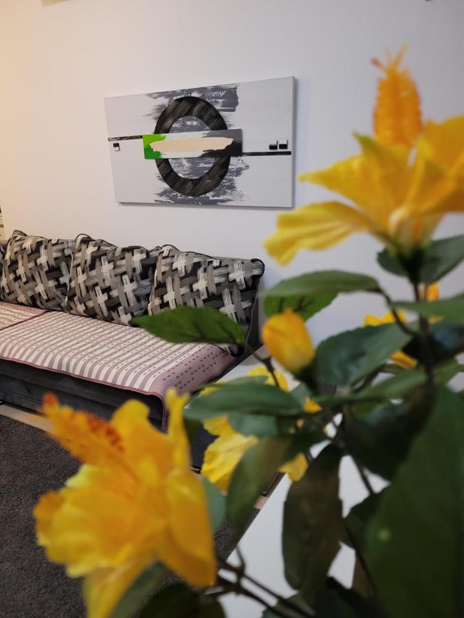 בוקרשט Cozy Park Residences 5 מראה חיצוני תמונה